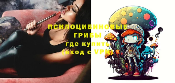 гашик Баксан