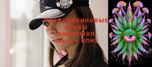 гашик Баксан
