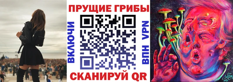 Псилоцибиновые грибы MAGIC MUSHROOMS  купить  сайты  Котельниково 